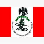 ndlea